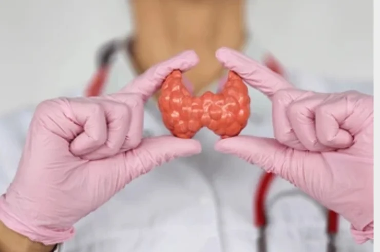 Thyroid